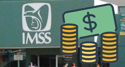 Cambios en el IMSS: Esta es la NUEVA opción para AUMENTAR tus aportaciones voluntarias