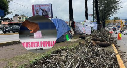 Con 16 mil firmas ambientalistas piden consulta popular por puente vehicular en Xalapa