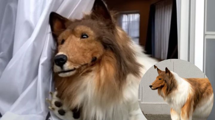 Así es el hombre que se convirtió en perro por más de 200,000 pesos