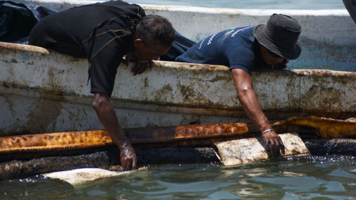 Errores que matan (II)