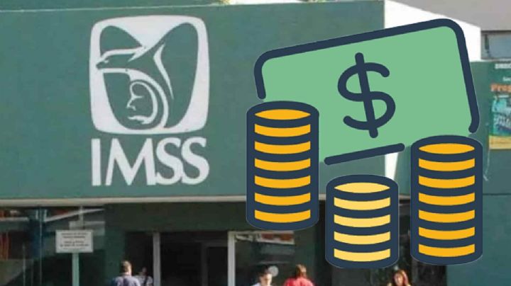 Cambios en el IMSS: Esta es la NUEVA opción para AUMENTAR tus aportaciones voluntarias