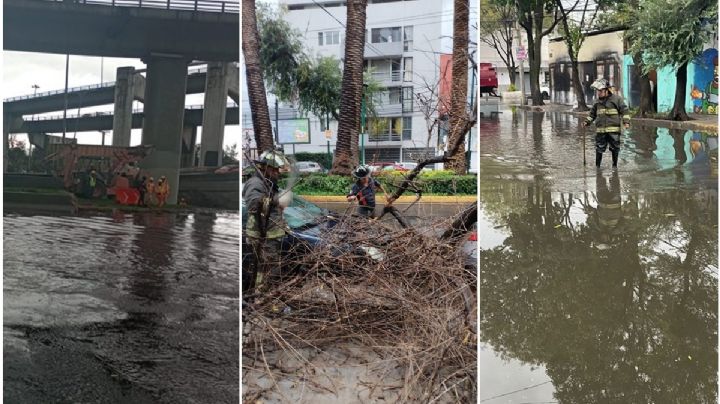 Inundaciones y árboles caídos, los estragos de la Lluvia en la CDMX