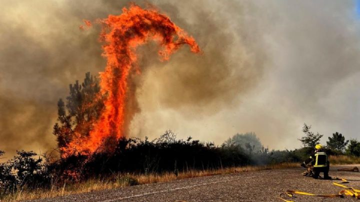 VIDEO| Menor de 10 años es captado con dron causando incendio en bosque italiano