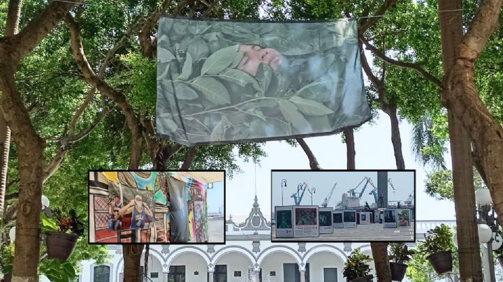 VIDEO: Así es la exposición del World Press Photo que está en Veracruz