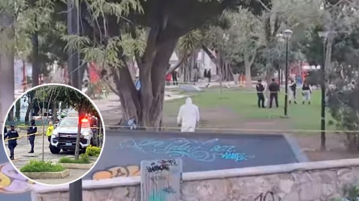 Balean a pareja frente a sus hijos en Parque Hidalgo, el papá murió