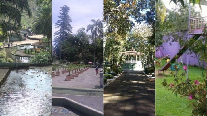 4 parques de Xalapa para disfrutar en domingo. Dónde y qué hacer