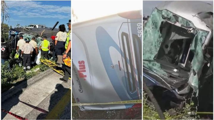 Pasajeros iban dormidos: autobús vuelca en límites con Hidalgo; ocho muertos