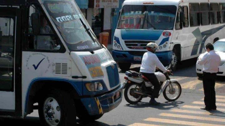 Rutas Veracruz: Así puedes usar la app de autobuses en el puerto