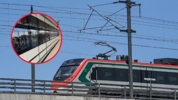 Tren Interurbano: Elegantes y cómodos... así lucen los vagones