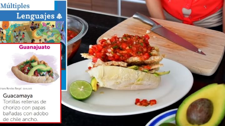 Reprobados: libros de texto dicen que guacamayas de León son con tortillas y no bolillos