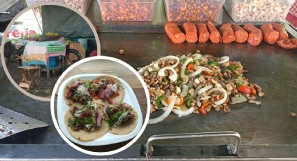 Tacos Chidos, el lugar para comer rico y barato cerca de la Zona UV Xalapa