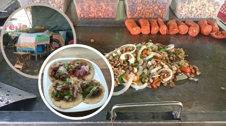 Tacos Chidos, el lugar para comer rico y barato cerca de la Zona UV Xalapa