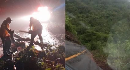 Onda Tropical en Veracruz deja deslave y árboles caídos, ¿seguirán las lluvias?