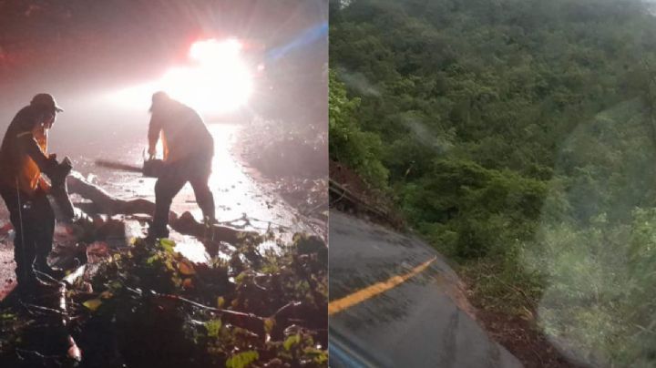 Onda Tropical en Veracruz deja deslave y árboles caídos, ¿seguirán las lluvias?