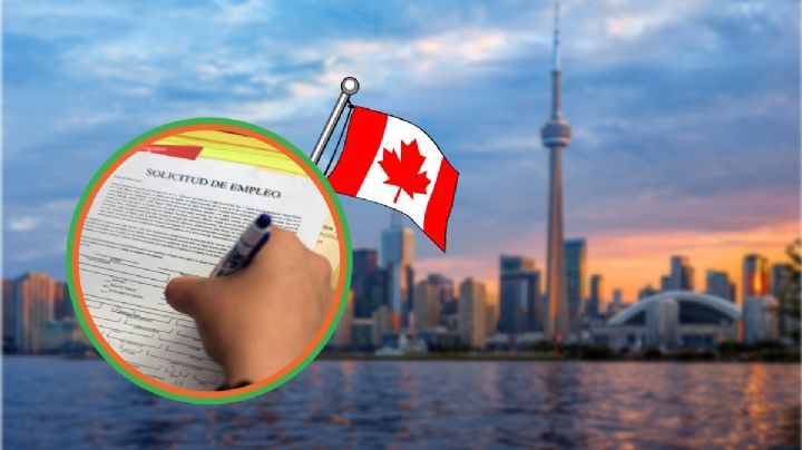 ¡Atención hidalguenses! En Canadá buscan estos oficios con salarios de hasta 40,000 pesos