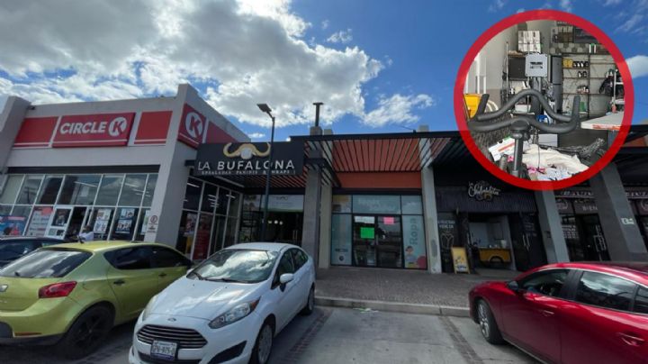 ¿No eres socio de Costco? En esta tienda de León puedes comprar sin membresía