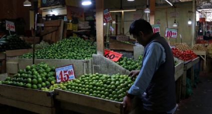 Guerra entre narcos “seca” producción y comercialización de limón