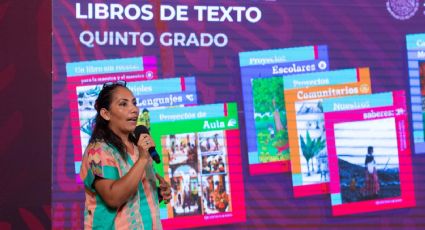 Libros de texto: nueva reforma educativa necesitará recursos, advierten expertos