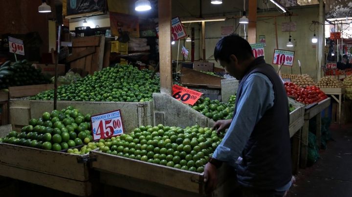 Guerra entre narcos “seca” producción y comercialización de limón