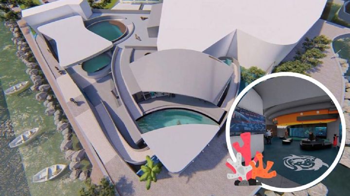 Nuevas instalaciones del Aquarium de Veracruz; revelan fecha y cómo quedarán