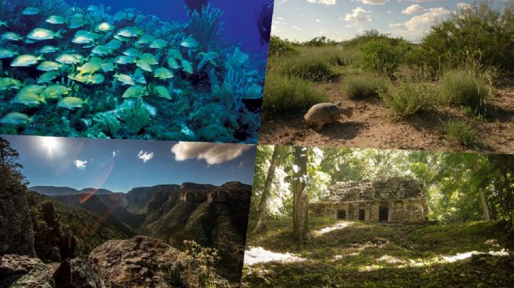 Estas son las 13 nuevas Áreas Naturales Protegidas en México