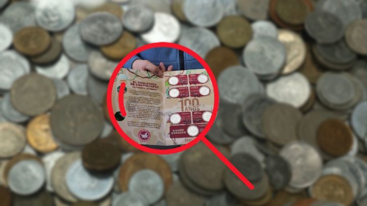 ¿Cómo son las monedas conmemorativas del zoológico por las que tanto se pelean?
