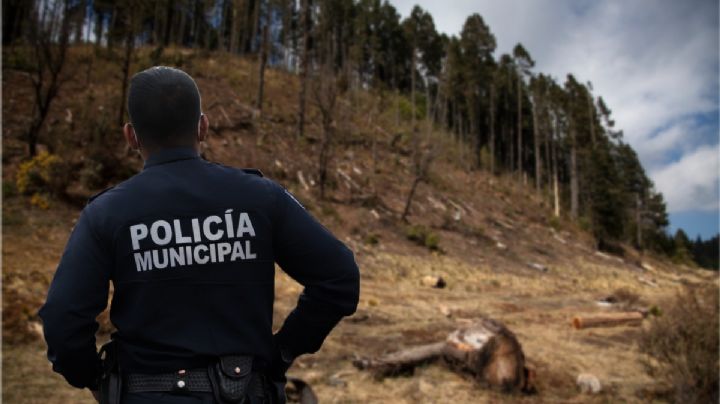 Tensión en Otzolotepec: Enfrentamiento entre talamontes deja al menos un muerto