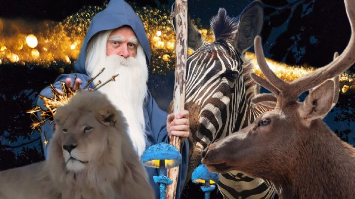 Atrévete a dar un recorrido nocturno por el Tuzoofari; te contamos los detalles