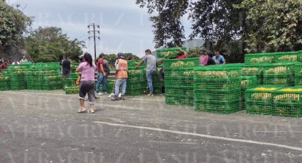 Cierran autopista Orizaba-Puebla por volcadura y rapiña de pollos vivos. Esto se sabe