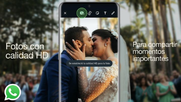 Ya puedes mandar fotos en HD en WhatsApp, te decimos cómo