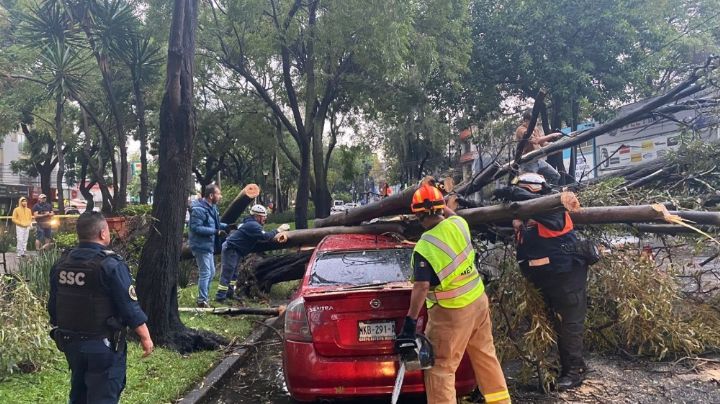 “Fue un evento fuera de lo común”: reporta Coyoacán saldo blanco por lluvias