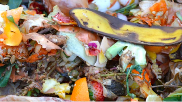 Despilfarro de alimentos