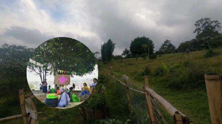 Parque La Loma: de proyecto de cuartel de la Guardia Nacional a huerto comunitario en Xalapa