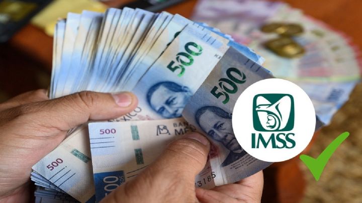 ¿Tienes esta edad? Eres de los ganones que recibirá esta pensión