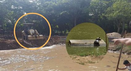 Presunto ecocidio: rellenan estanque de tortugas en universidad Benito Juárez de Minatitlán