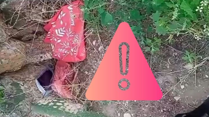 Hallan a recién nacido con vida dentro de una bolsa de plástico en Mineral de la Reforma