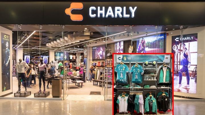 ¿Quién es el dueño de la empresa Charly?