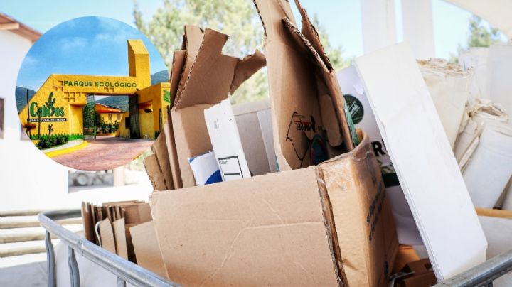 Acopio de útiles escolares en Parque Ecológico de Cubitos, últimos días