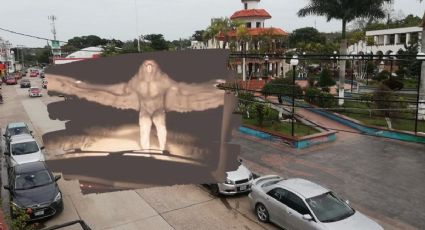 ¿Aparece el Mothman en comunidad de Veracruz?