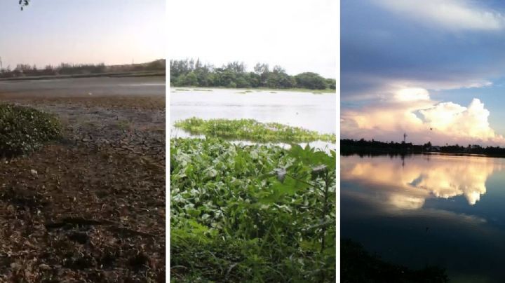 Laguna de Lagartos: de la sequía a santuario de especies silvestres