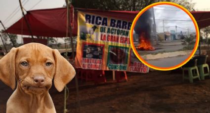 Desmanes y hasta bloqueos en Tizayuca por puesto de barbacoa que vende “perro”