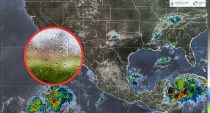 “Idalia”, nueva tormenta tropical llega a México este domingo: ¿Cuál es el estado más afectado?