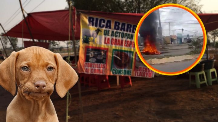 Desmanes y hasta bloqueos en Tizayuca por puesto de barbacoa que vende “perro”