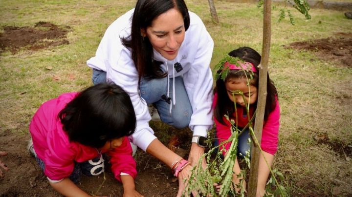 Álvaro Obregón rebasa meta de sembrar 3,000 árboles este año: Lía Limón