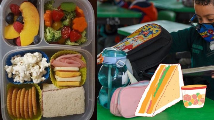 5 recomendaciones para un lunch saludable en este regreso a clases en Veracruz