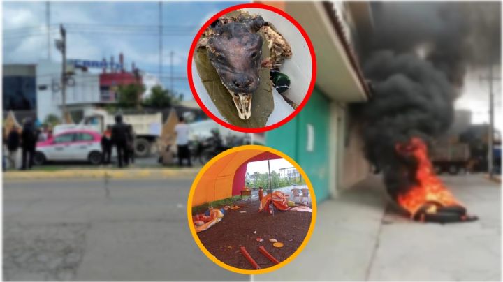Segundo día de protestas y bloqueos por barbacoa de perro en Tizayuca