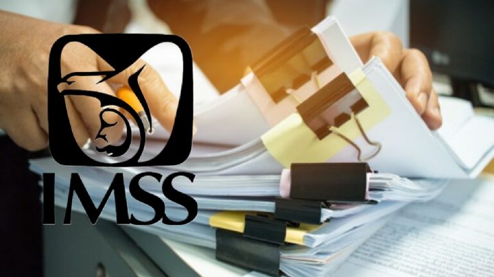 ¿Eres nuevo en el IMSS? Checa lo que debes de hacer