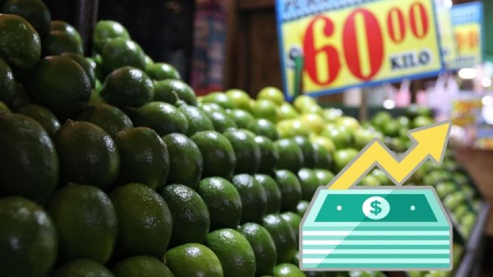 ¿Subió el precio del limón en Xalapa? Esto dicen vendedores