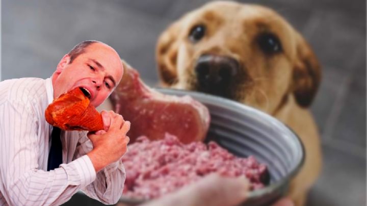 ¿Barbacoa de perro en Tizayuca, qué tan malo es consumirla?