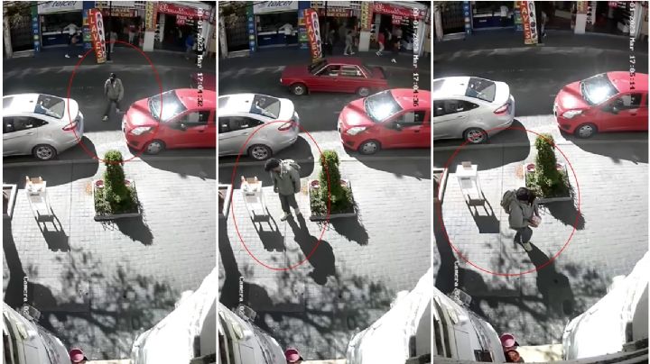 En pleno centro de Pachuca, roban alimento para perritos de la calle | VIDEO